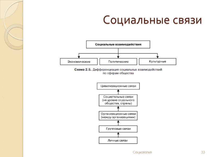 Социальные связи 33 Социология